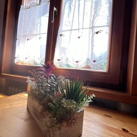 Rio Muri - Close To The Cycle Path